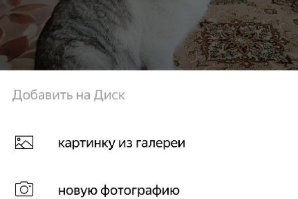 Кракен маркет зайти