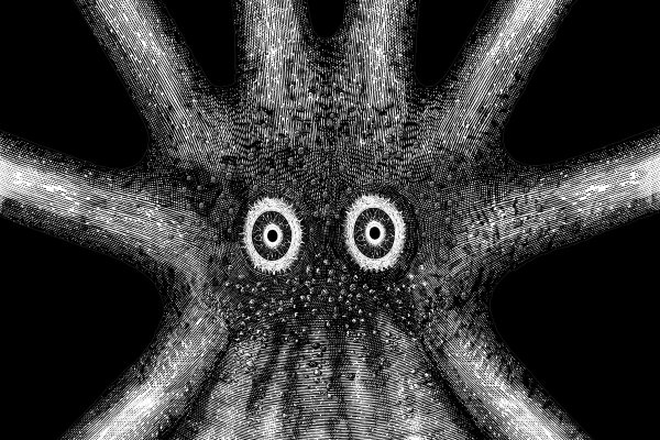 Kraken 6at