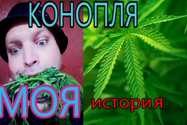 Линк кракена