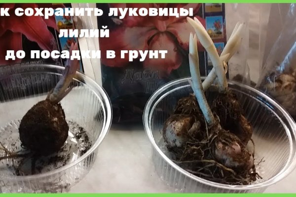 Как сделать заказ на кракен