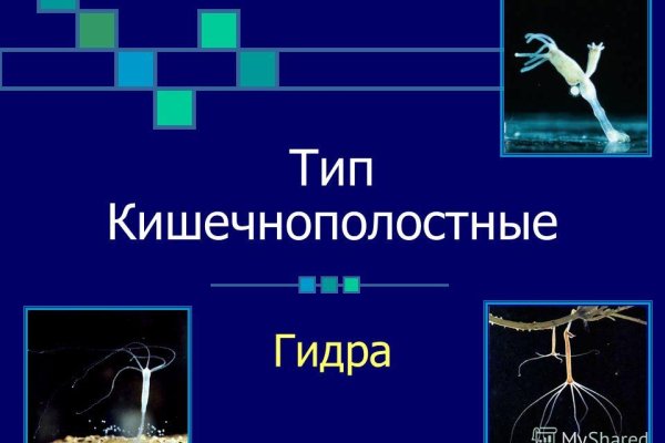 Регистрация на кракен