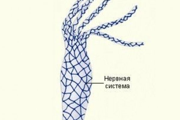 Кракен мониторинг ссылок kraken torion