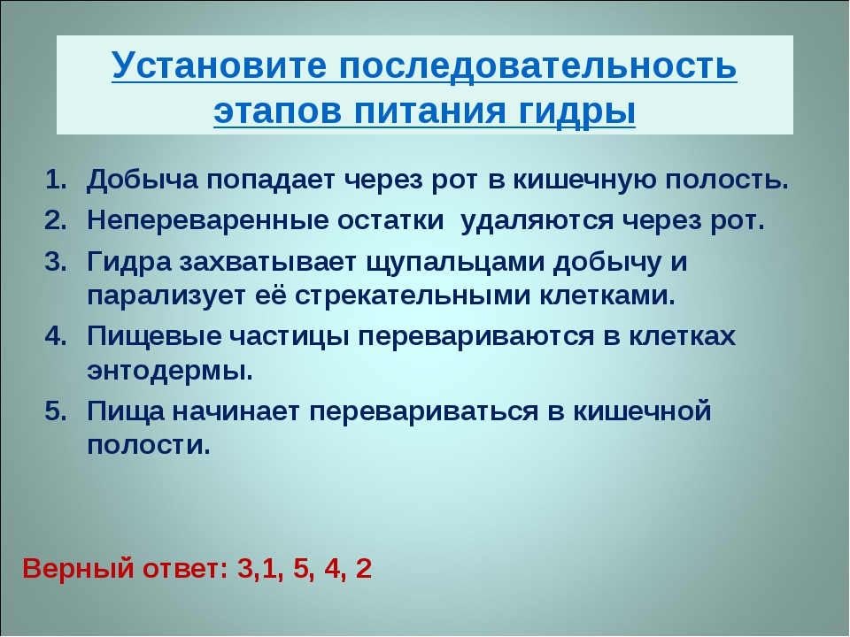 Кракен нарко шоп