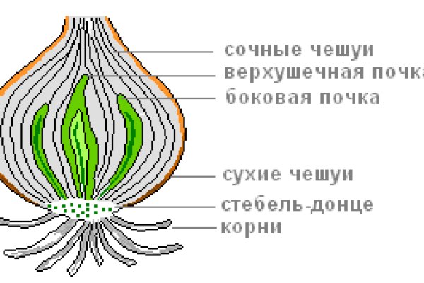 Как зайти на гидру через тор браузер